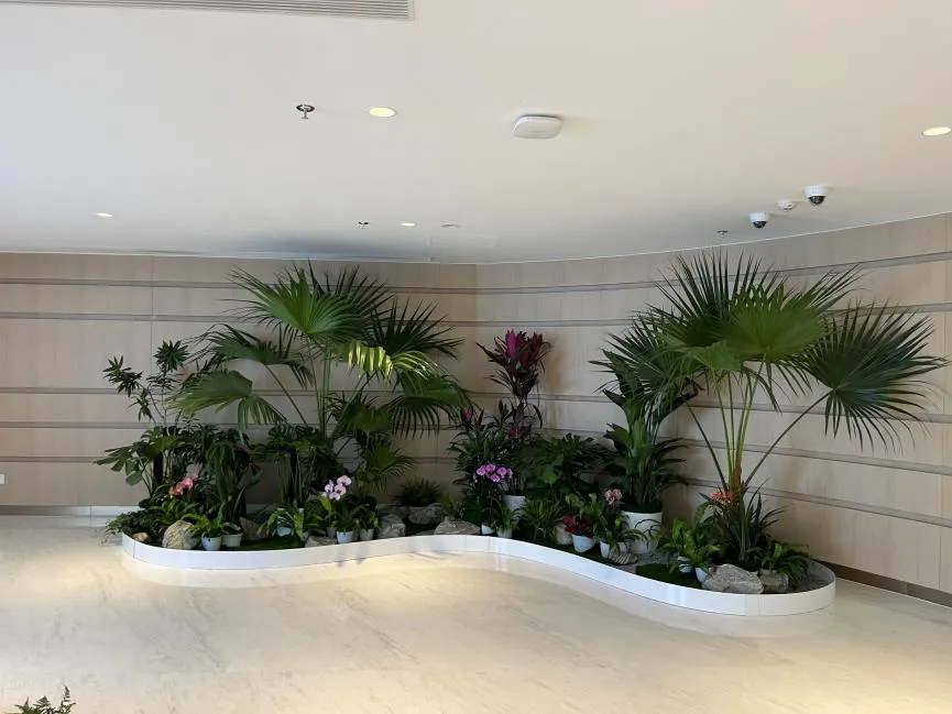 江北绿化修剪价格